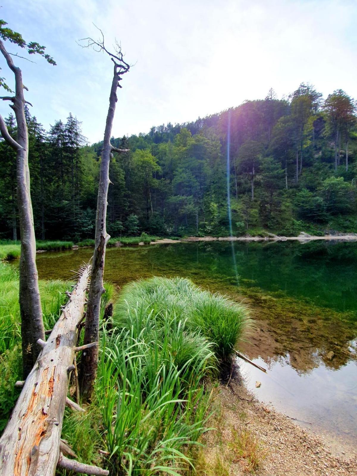 Apartament Haus Fuesslmuehle Fuschl am See Zewnętrze zdjęcie